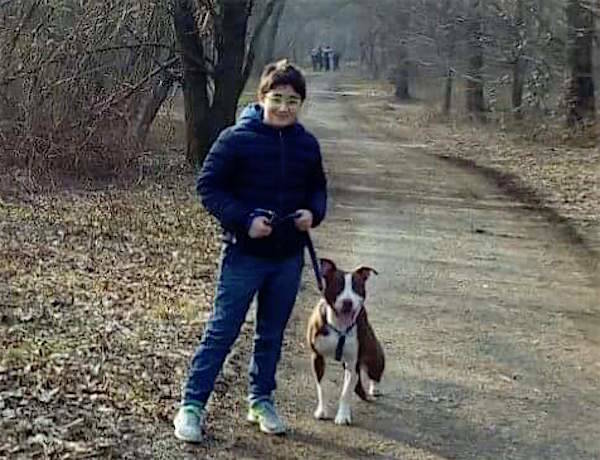 Achille, pitbull