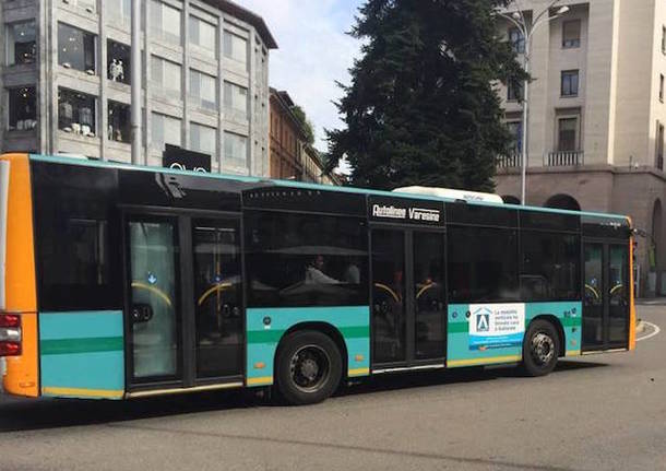 autobus autolinee varesine