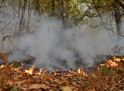 fronte incendio boschi