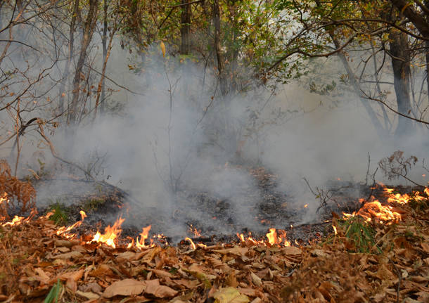 fronte incendio boschi