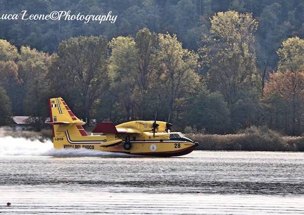 Canadair in azione