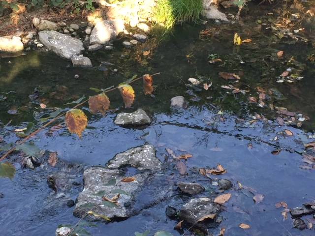 Arnetta, fiume delle puzze