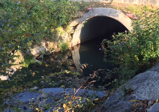 Arnetta, fiume delle puzze