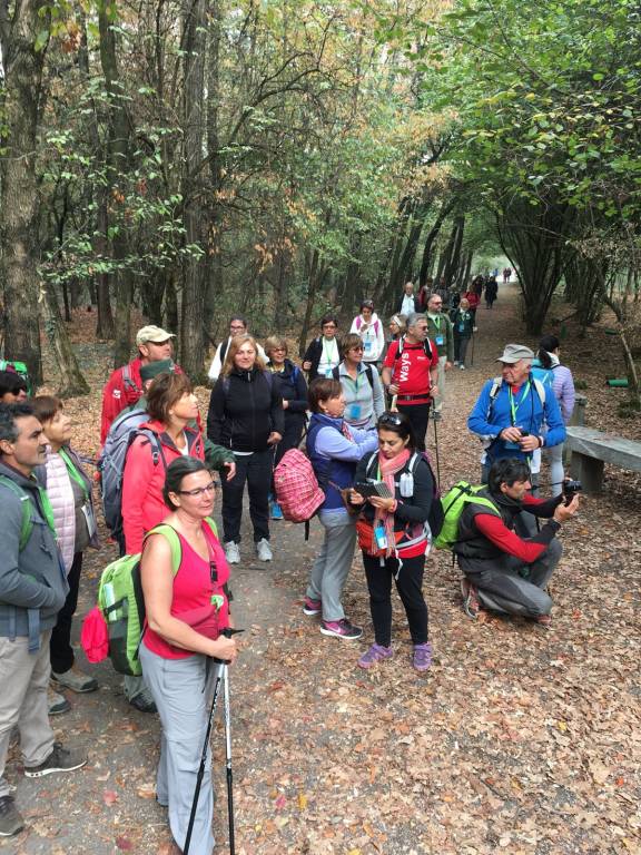 Sulla Francisca da Cairate a Cuggiono