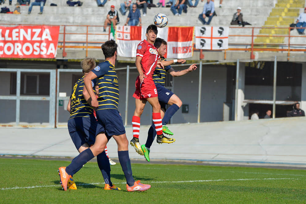 Varese - Arconatese