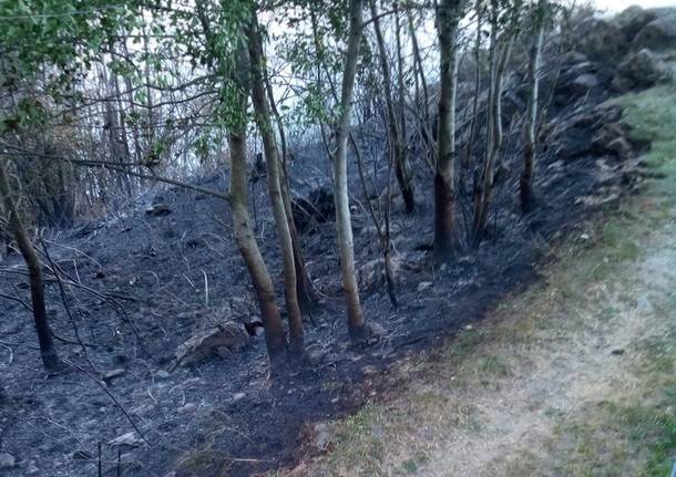 Incendio di Bassano ,al via la bonifica