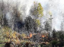 Incendio di Bassano ,al via la bonifica