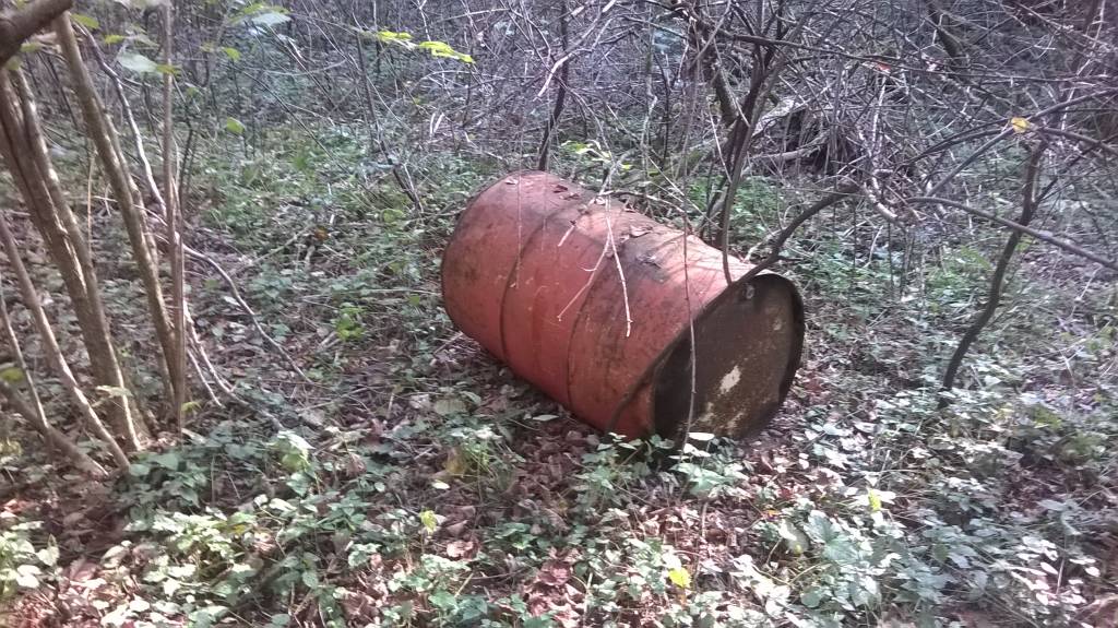 Bosco o discarica???