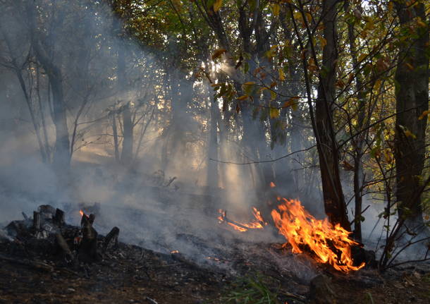 Sul fronte del fuoco