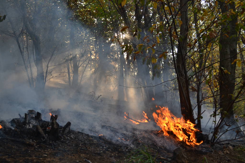 Sul fronte del fuoco