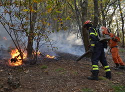 Sul fronte del fuoco