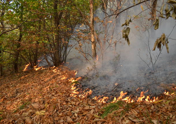 Sul fronte del fuoco