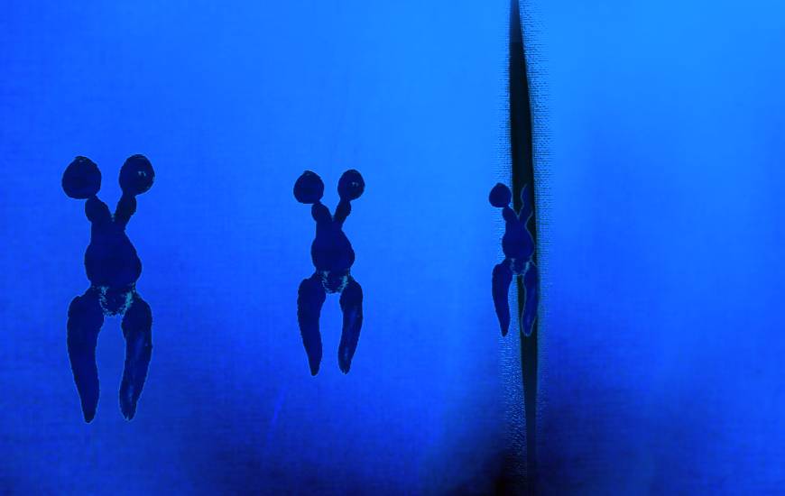 Dia sotto le stelle, i protagonisti della prima serata