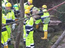 Esercitazione congiunta della protezione civile a Inarzo