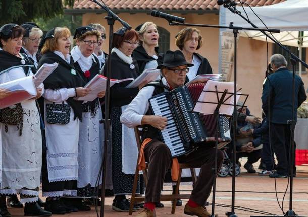 Festa d'Autunno a Gerenzano