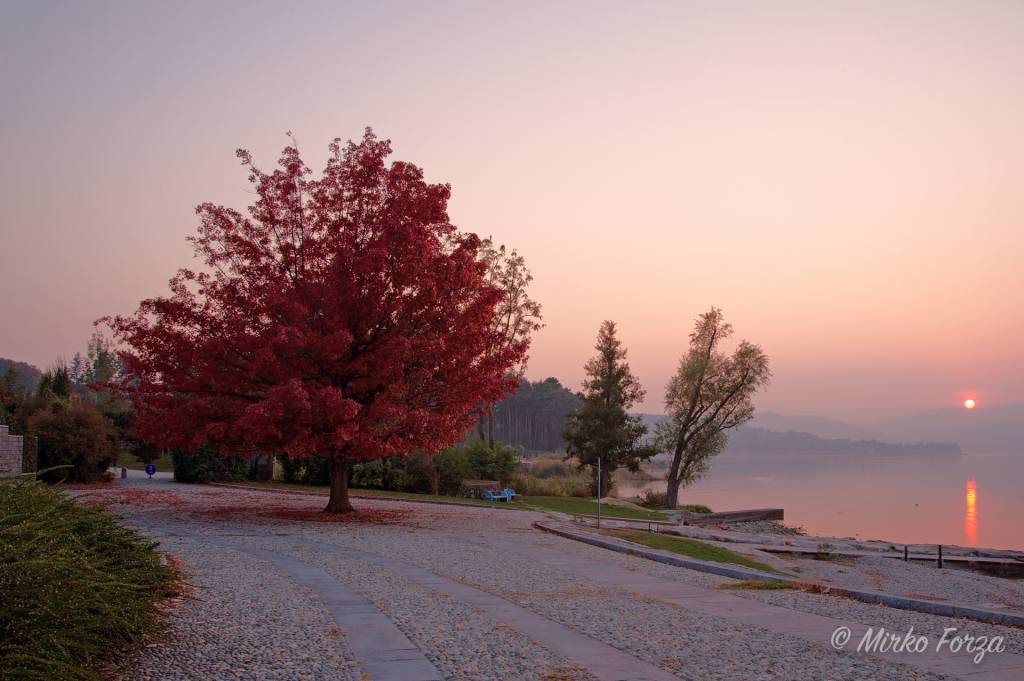 Foto del giorno ottobre 2017