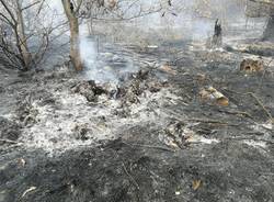 Gli effetti dell'incendio al Poggio di Luvinate