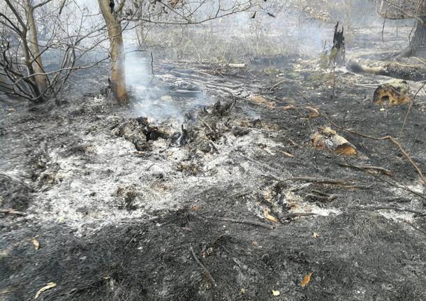 Gli effetti dell'incendio al Poggio di Luvinate