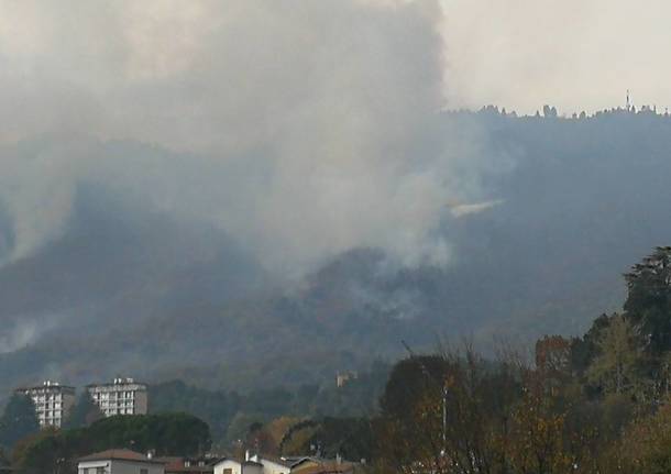 Gli effetti dell'incendio al Poggio di Luvinate