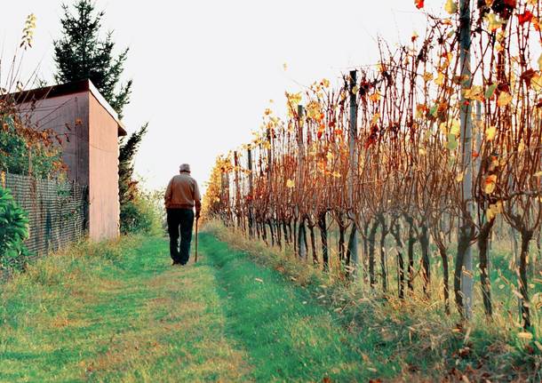 Foto del giorno ottobre 2017