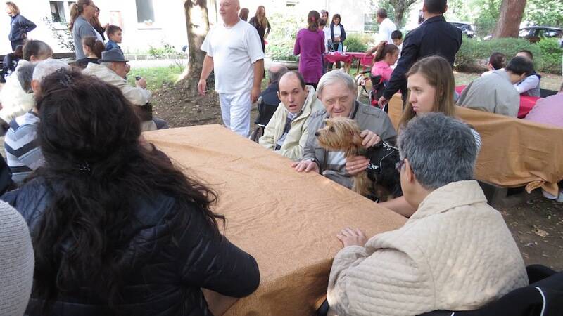IMG 4434