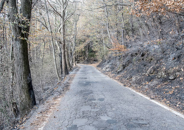 Incendio Campo dei Fiori, squadre al lavoro