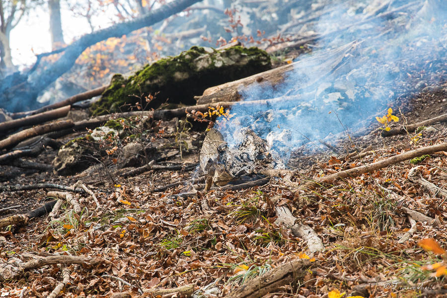 Incendio al Campo dei Fiori, le immagini di lunedì 30 ottobre