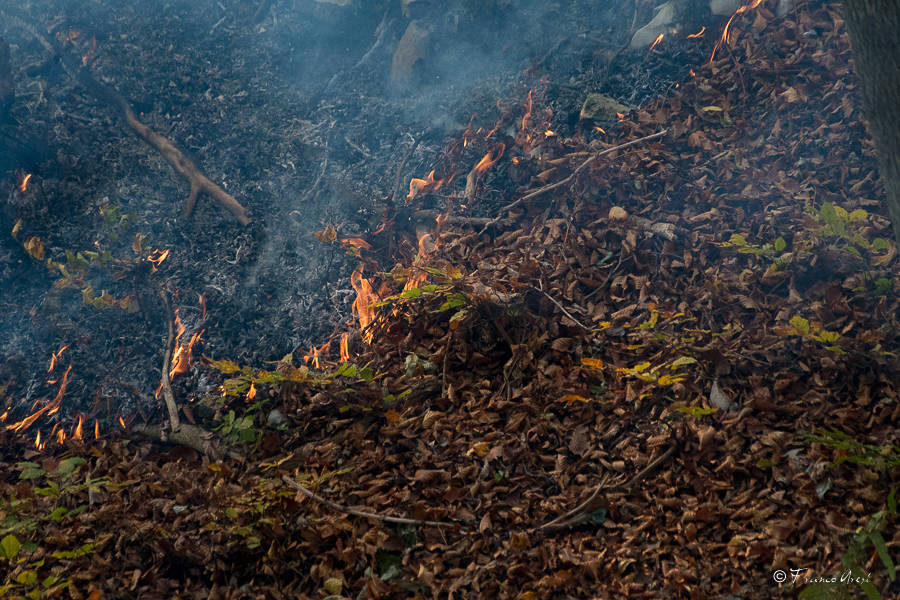 Incendio al Campo dei Fiori, soccorsi al lavoro -2