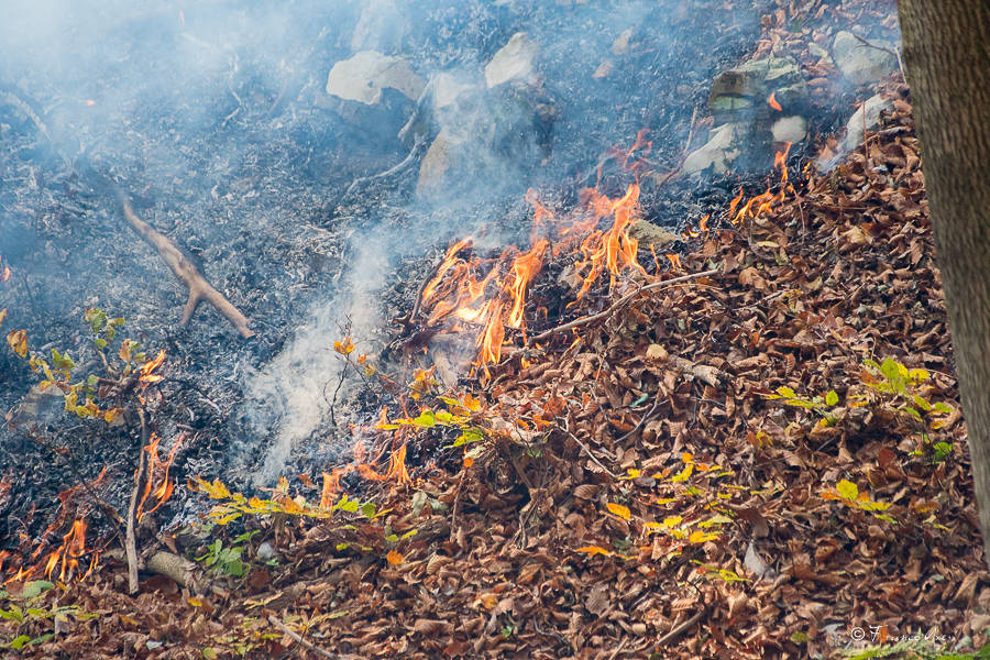 Incendio al Campo dei Fiori, soccorsi al lavoro -2