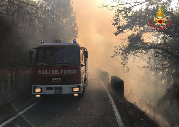 Incendio boschivo Tronzano