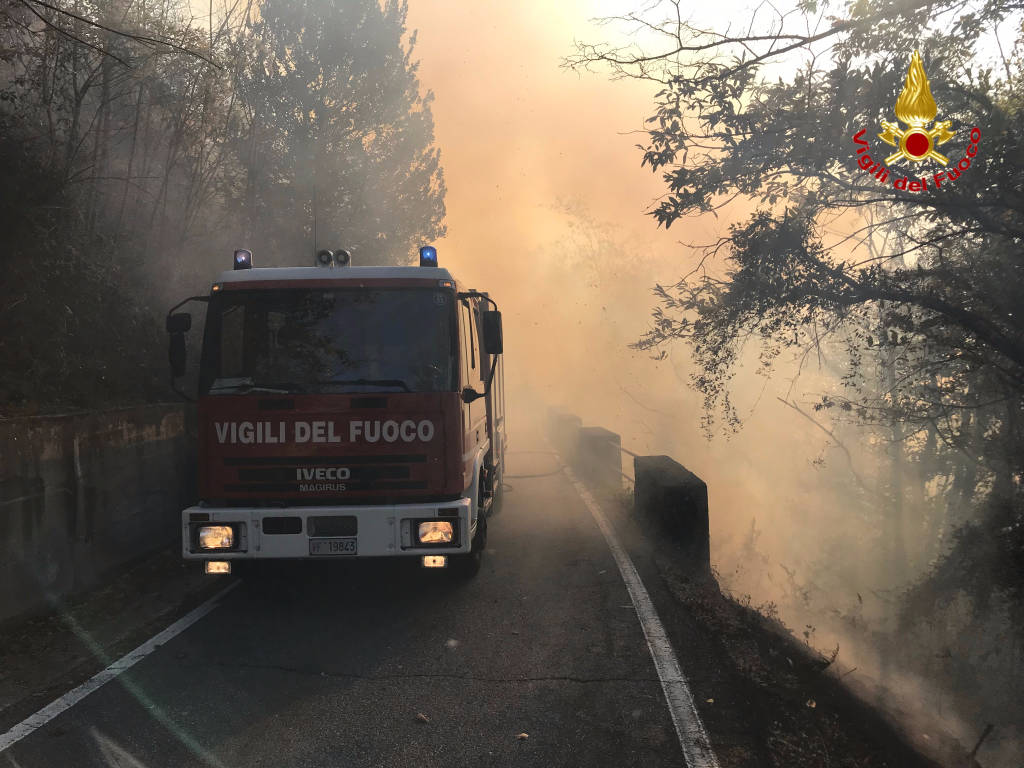 Incendio boschivo Tronzano