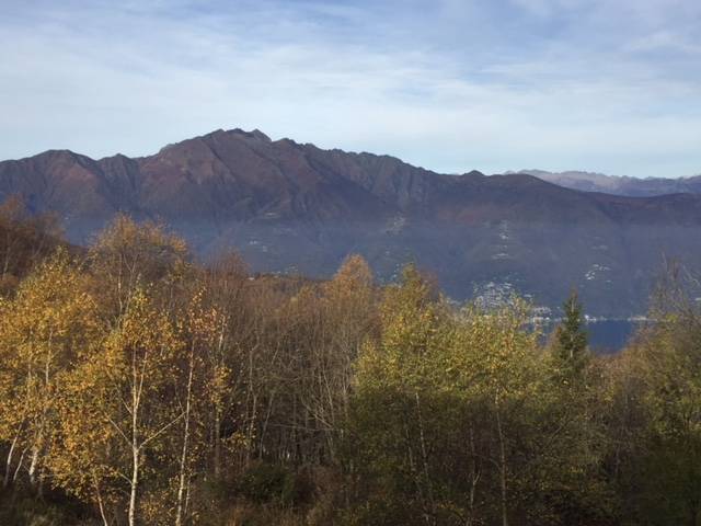 La rinascita della Forcora