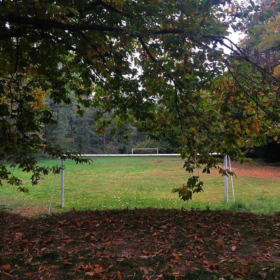 Orino bosco calcio