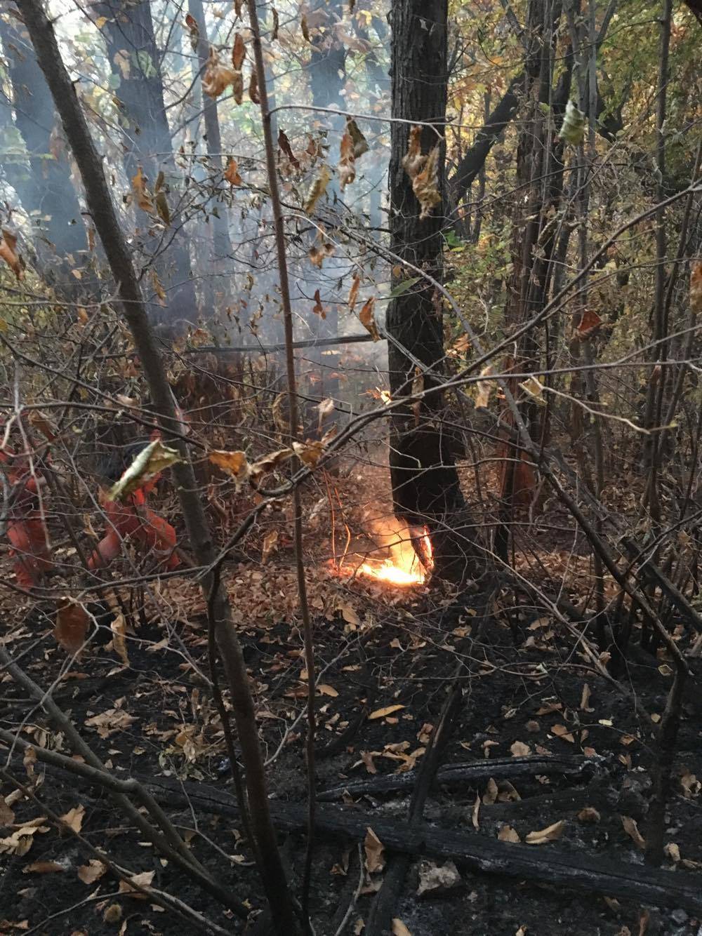 Squadra Antincendio Gemonio