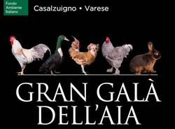 Tempo libero generica 