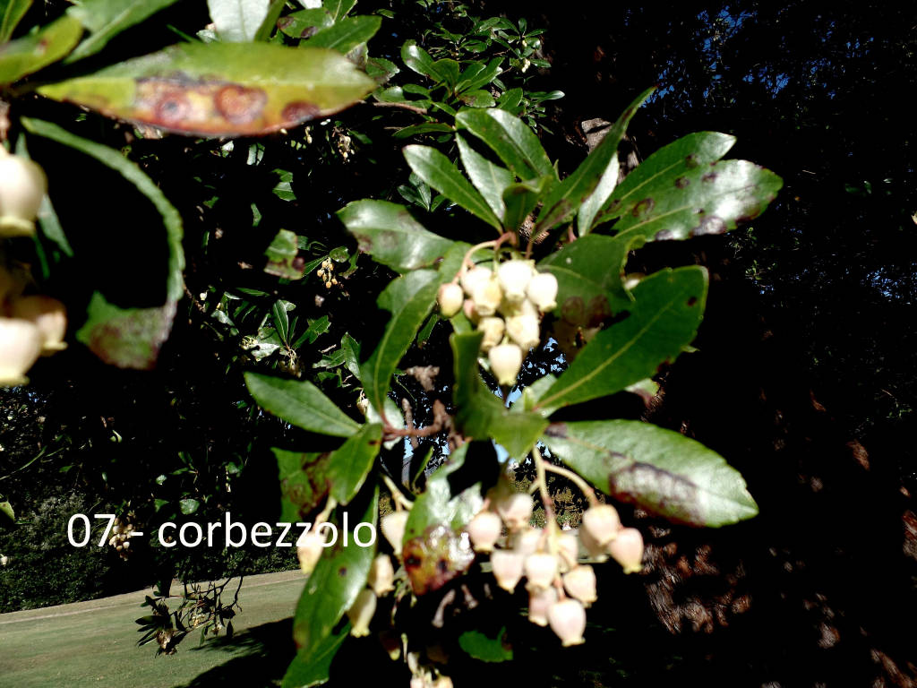 Teresio Colombo alla scoperta di Villa Panza