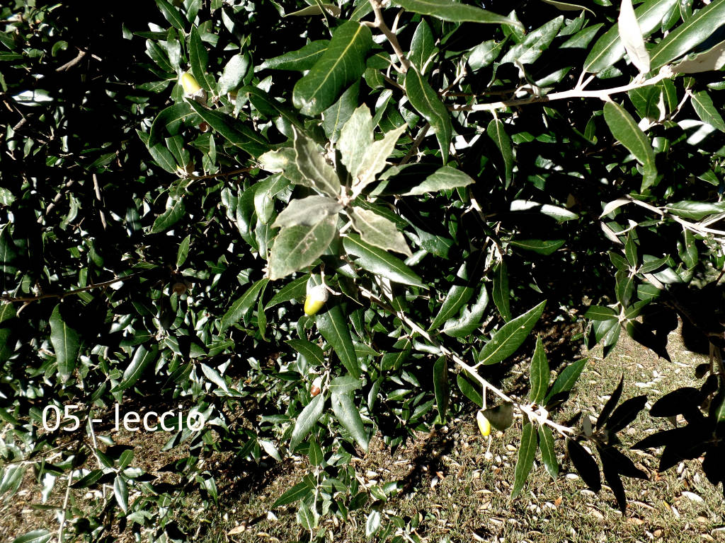 Teresio Colombo alla scoperta di Villa Panza