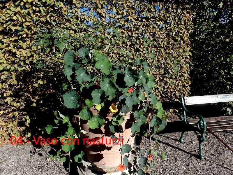 Teresio Colombo Villa Panza 2017