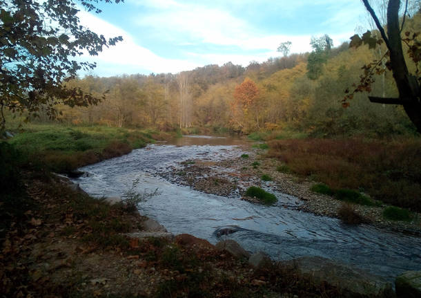 L’autunno sul fiume Olona