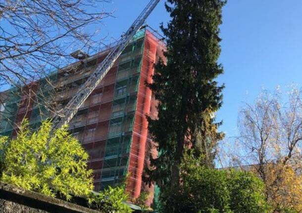 Il vento piega albero secolare: vigili del fuoco come taglialegna