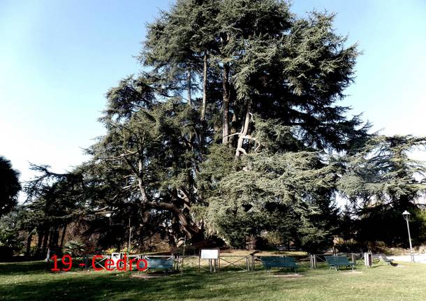 Alla scoperta dei giardini di Villa Mirabello