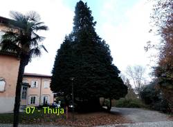 Alla scoperta dei giardini di Villa Mirabello