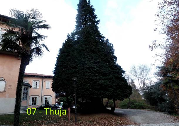 Alla scoperta dei giardini di Villa Mirabello