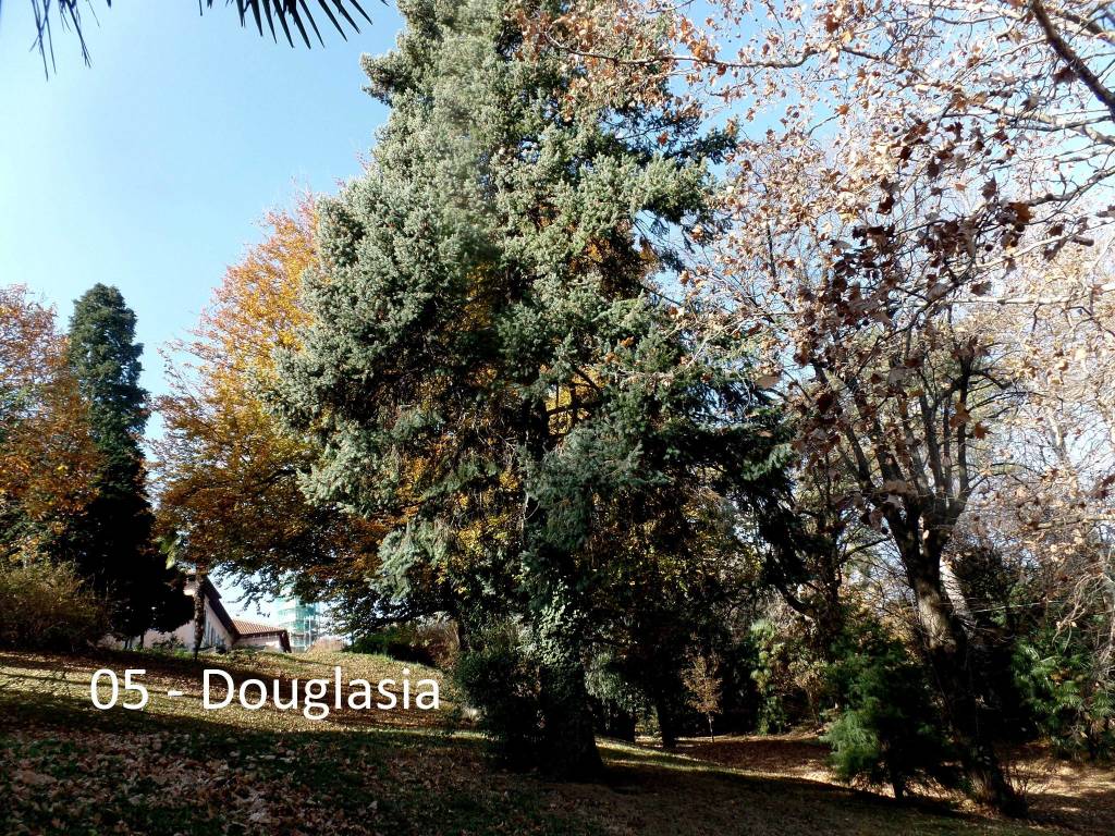 Alla scoperta dei giardini di Villa Mirabello