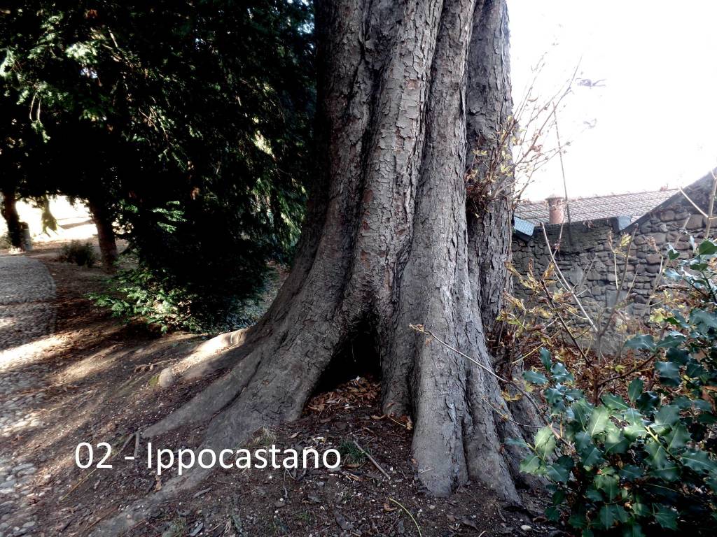 Alla scoperta dei giardini di Villa Mirabello