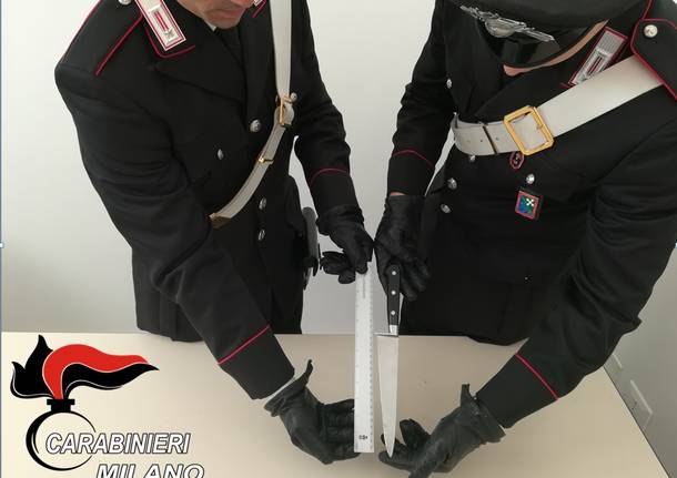 Altomilanese generica