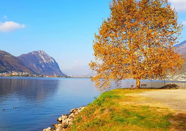 Autunno in Valceresio - foto di Clara Comolli