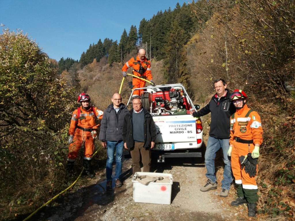 campo dei fiori dentro boschi incendio