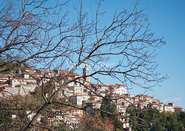 Il borgo dietro l’albero