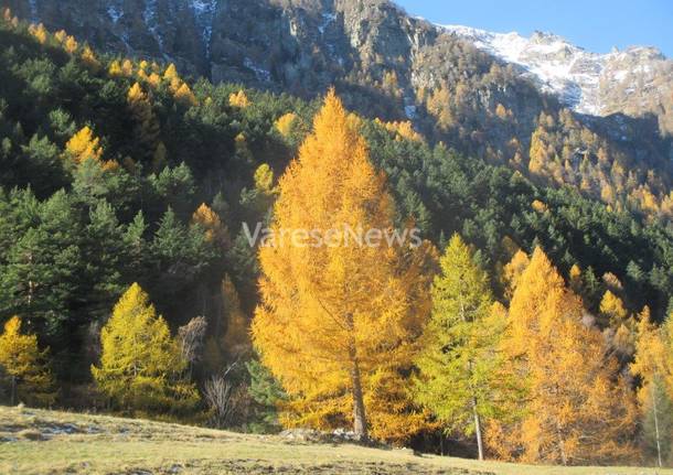 Un angolo della Val Divedro...